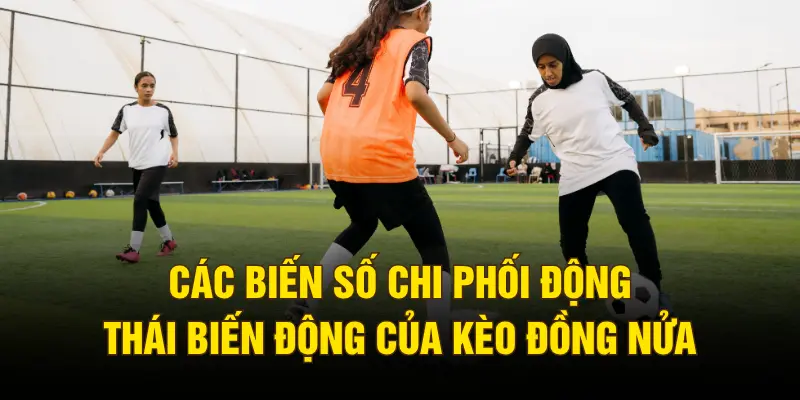 Các biến số chi phối động thái biến động của kèo đồng nửa